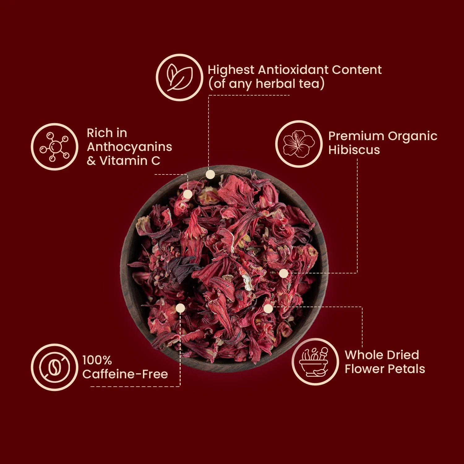 Hibiscus PQ - Image 3