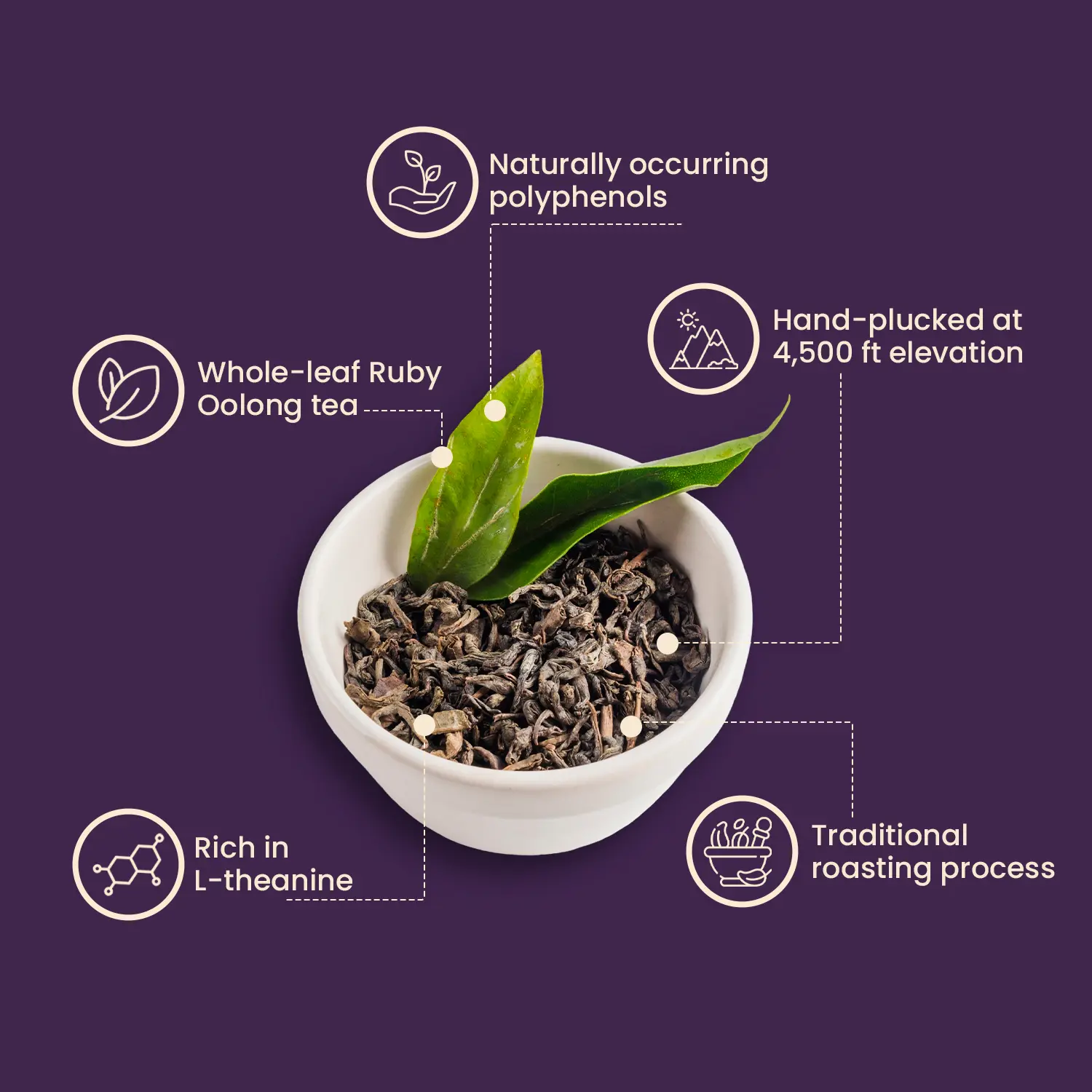 Ruby Oolong Tea - Image 4